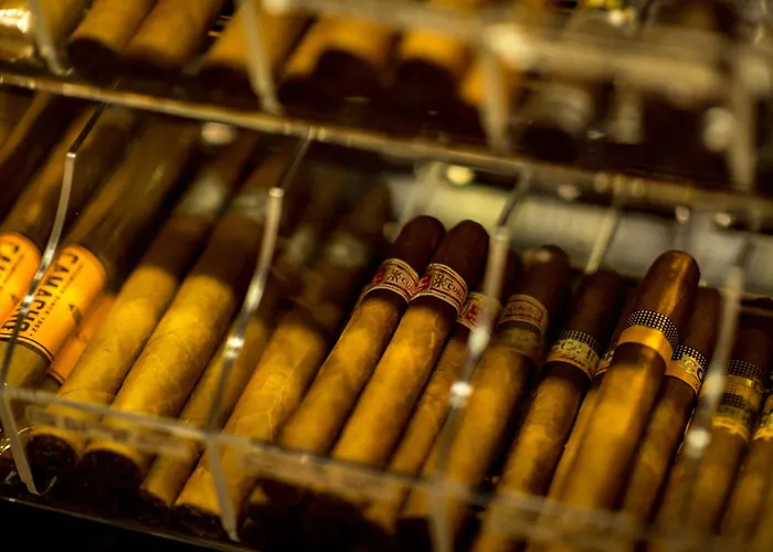 Szálloda Sternen Oerlikon Zürich