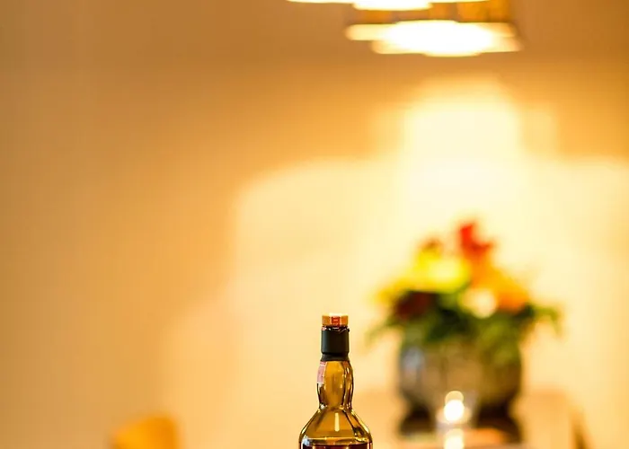 酒店 欧瑞康星酒店 苏黎世